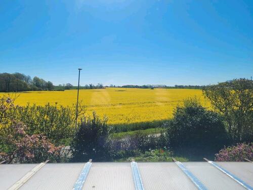 Foto - Ruhig gelegenes Haus mit großem Grundstück und viel Potential