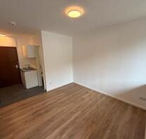 1 Zimmer Apartment in zentrumsnaher Lage direkt am Stadtpark - Kaiserslautern Betzenberg