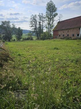 Foto - Tinyhausbauplatz voll erschlossen