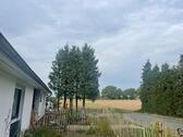 Foto - Besonderes Einfamilienhaus mit Fernblick über Feld und Wälder