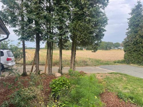 Foto - Einfamilienhaus in Verden (Aller) zum Kaufen