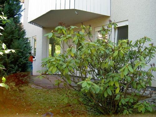 Foto - 