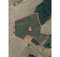 Grünland Wiese - 7,00&nbsp;EUR Kaltmiete, ca.&nbsp; 0,00&nbsp;m&sup2; in Dießen am Ammersee (PLZ: 86911)