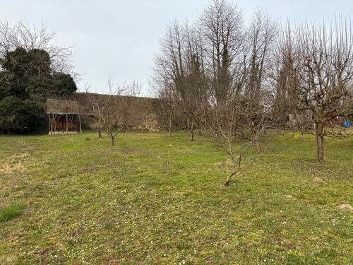 Foto - Grundst&uuml;ck zur Miete in Kippenheim