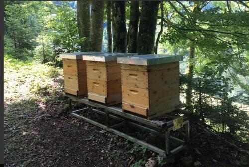 Foto - Bienenstandplatz in 37154 Northeim zu vergeben