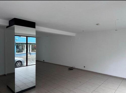 Foto - andere zur Miete in Freiburg im Breisgau