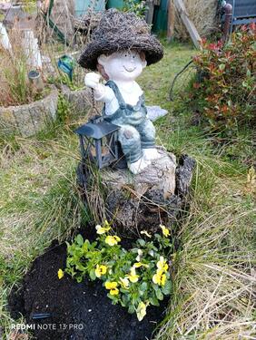 Foto - Kleingarten 320qm mit Laube zu abzugeben