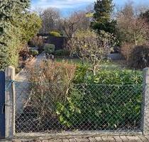 Kleingarten abzugeben - Preis wird besprochen - Grasleben