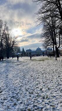 Foto - 2 Zimmer Erdgeschoßwohnung zur Miete in Bonn