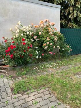 Foto - 4-Raumwohnung mit 87m² - 785,00 EUR Kaltmiete,