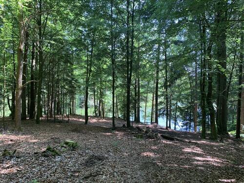 Foto - Grundst&uuml;ck in Eging am See