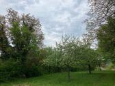 Foto - Naturjuwel in Ruhelage: Pacht-Oase in Kraichtal
