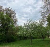 Naturjuwel in Ruhelage: Pacht-Oase in Kraichtal