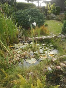 Foto - Grundst&uuml;ck zur Miete in Ostrau