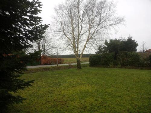 Foto - Einfamilienhaus in Hage zum Kaufen