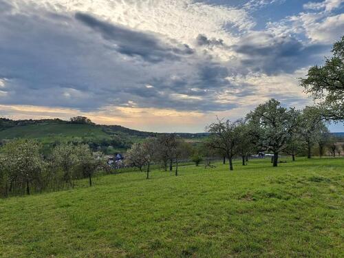 Foto - Freizeitgrundstück, Hundeplatz, Wochenendgrundstück