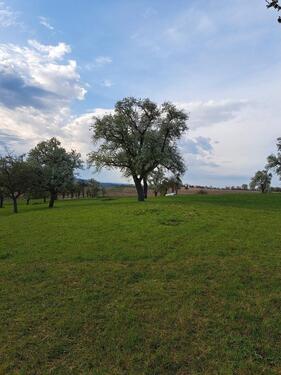 Foto - Grundst&uuml;ck in Bretzfeld