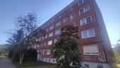 Foto - Etagenwohnung zur Miete in Halle (Saale)