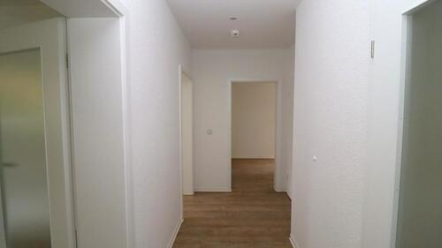 Foto - Etagenwohnung in Chemnitz zur Miete