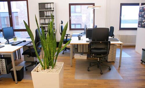 Foto - andere in Köln