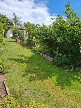 Foto - Grundst&uuml;ck in Meißen zur Miete