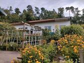 Foto - Bungalow am Malchiner See - 89.000,00&nbsp;EUR Kaufpreis, ca.&nbsp; 50,00&nbsp;m&sup2;