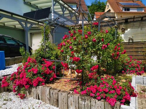 Foto - Einfamilienhaus in Oberkochen