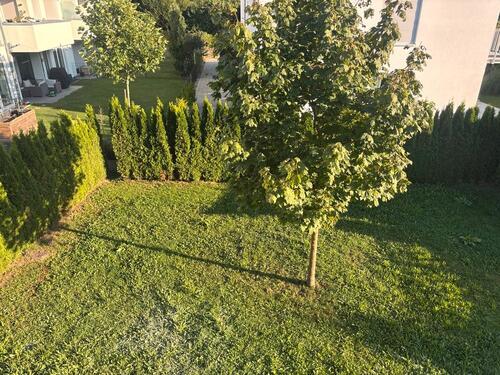 Foto - Einfamilienhaus in Günzburg zum Kaufen