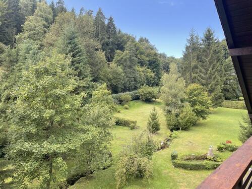 Foto - Frisch renovierte Wohnung im Grünen