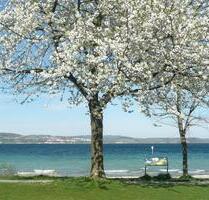 Frühling am Bodensee: FeWo in Konstanz für 2 Personen, beste Lage