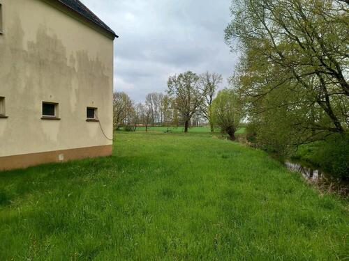 Foto - Mehrfamilienhaus, Wohnhaus in Bad Liebenwerda zum Kaufen