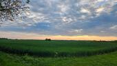 Foto - Einfamilienhaus in Calbe (Saale) zum Kaufen