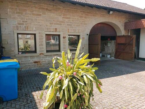 Foto - Einfamilienhaus in Eppingen zum Kaufen