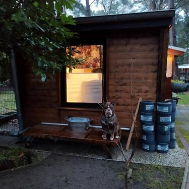 Foto - Einfamilienhaus in Olfen