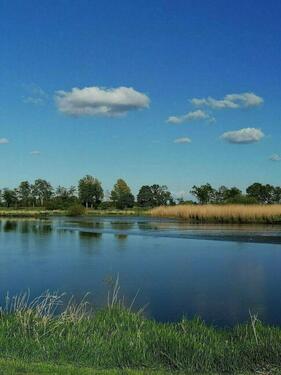 Foto - andere in Detern