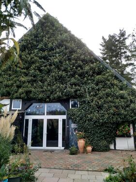 Foto - 5 Zimmer Einfamilienhaus zum Kaufen in Preußisch Oldendorf