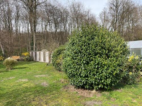 Foto - Einfamilienhaus in Nienburg (Weser) zur Miete