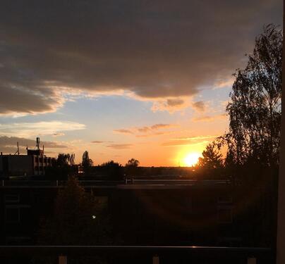 Foto - 2 Zimmer Dachgeschoßwohnung zur Miete in Braunschweig