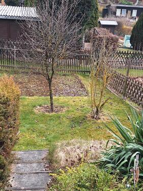 Foto - Grundst&uuml;ck zur Miete in Gera