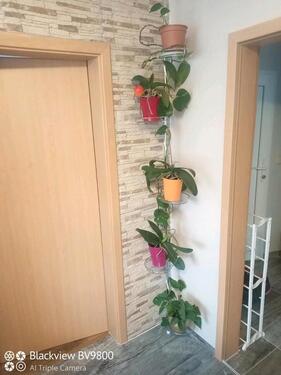 Foto - 2 Zimmer Etagenwohnung zum Kaufen in Heidenheim an der Brenz