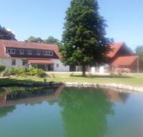 Genialer Resthof in idyllischer Randlage - Schwarmstedt