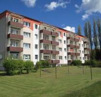 Frisch sanierte 4-Zimmer-Wohnung in Viereck – Zuhause im Grünen - Pasewalk