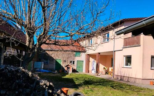 Foto - 8 Zimmer Einfamilienhaus zum Kaufen in Herzberg (Elster)