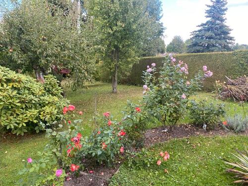 Foto - Grundst&uuml;ck in Geringswalde