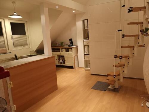 Foto - 2 Zimmer Dachgeschoßwohnung zur Miete in Aachen