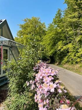 Foto - andere in Windeck zur Miete