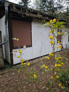 Foto - Bungalow in Berlin zum Kaufen