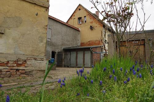Foto - Einfamilienhaus in Altenburg