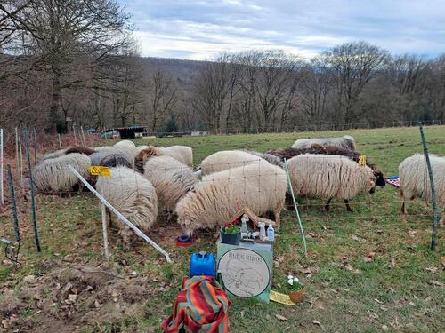 Foto - Grundst&uuml;ck in Herdecke