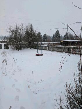 Foto - Grundst&uuml;ck zur Miete in Gotha